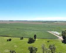 1200 Has. Campo Mixto De Excelente Aptitud Productiva