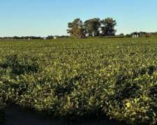 Campo Agrícola - Rio Tercero - Excelente Rentabilidad.-