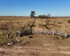 Campo Ganadero. Angélica, Santa FE.