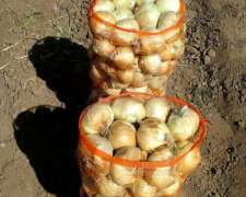 80 Has en Paso Viejo con Riego por Inundación