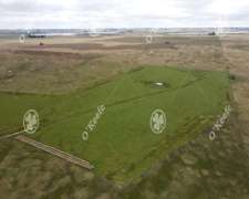 Campo en Venta de 175 Has en Chascomus. Mixto