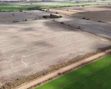Venta Campo Agrícola. 41 HA. Cululú, Santa FE.