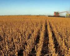 Ecxcelente Campo Agricola en Cordoba
