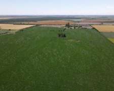 101 Hectáreas Agrícolas con Buen Acceso en Gualeguaychú.