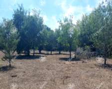 Chacra en Venta de 2,3 Has en Abasto. Ideal Desarrollo