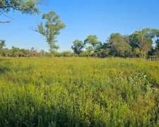 2900ha en Taco Pozo, Chaco