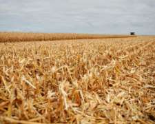 Venta 60 Has Agrícolas Ballesteros