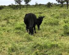 Ulapes - 4.222 Ha - la Rioja