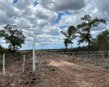 Las Lajitas, Salta - 1330 Has