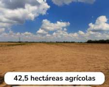 Campo Agrícola de 42,5 Hectáreas