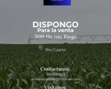 Vendo 500 Ha Agrícolas con Riego