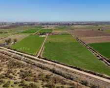 Campo Venta Santo Tomé, Santa FE. Zona Countries. 54 Ha