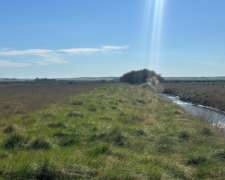 302 Has. Bahia Blanca con Arroyo