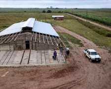 Tinglado e Instalaciones para Cerdos