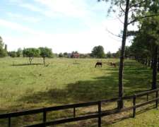 5.000 M2 Terreno En Haras El Malacate Con Financiación