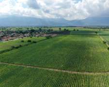 Pcia. de Salta - Rosario de Lerma 83 Has