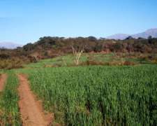 Campo en Metan - Salta