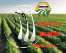 Afirmadores de Semilla (cola Castor)