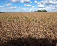 927 en Villa Mineti Santa FE