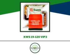 Semilla De Maiz Supra 19-120 Vip3