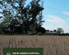 837 Ha- Agricola-la Paz-entre Rios