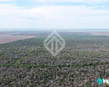 Campo en Venta 550 Ha Embarcación Provincia de Salta