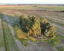 16 Has. Chacra Sobre Ruta 193 En Ex. De La Cruz