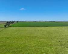 Pcia. de Santa FE - Perez 265 Has