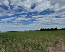 Campo De 65 Hectáreas Agrícolas Capitan Sarmiento