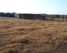 Las Flores Buenos Aires