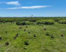 Pcia. de Santa FE - Coronda 3350 Has