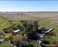 Vieytes (BS As): 200 Ha en Alquiler