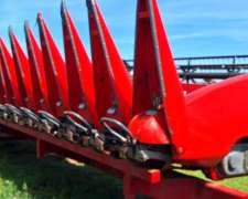 Maicero Ombu 2020 de 13 a 52 - muy Bueno