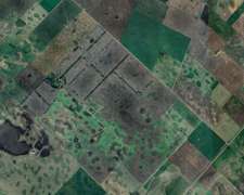 Realico la Pampa Argentina