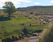 Cerros Largos ( la Carolina ) 154 Has