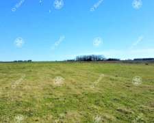 Chacra De 31 Has En Venta En La Plata - Ideal Hortícola