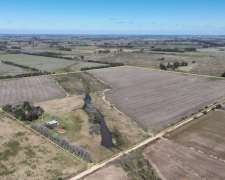 68 Has. Campo Agrícola con Mejoras en Zárate
