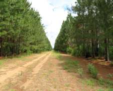 Ituzaingó - 222 Ha - Corrientes