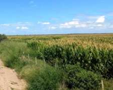 Campo C/acuifero, Pegado a la Ciudad Termas de Rio Hondo