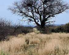 Campo 1200 Hectáreas Sobre Ruta Provincial 30