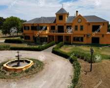 Campo en Venta 50 Has en Punta Indio. Excelente Casco.