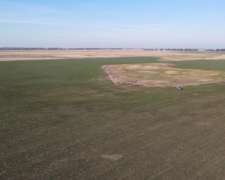 Ramos Otero, Balcarce, Buenos Aires - 148 Ha