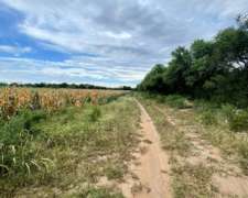Campo en Venta – 21 Hectáreas Sobre Ruta 38 Zona Tuclame