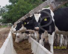 Comederos Mediacaña Feed-lot Base Cuadrada
