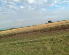 Invertir en Tierra HOY ES Asegurar el Mañana.