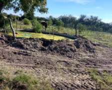 Alquiler Campo Ganadero en Providencia