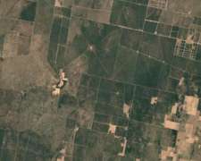 San Luis, Campo Ganadero Arrendamiento 11.000 Has