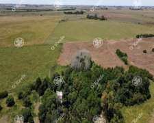 Campo en Venta de 224 Has en Magdalena. Mixto