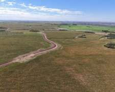 Las Vizcacheras, Pedernera, San Luis - 266 Ha
