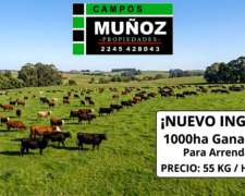 Campo 1000ha Ganadero en Arrendamiento